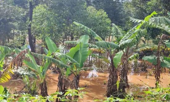 LOWER SIRONKO  MICRO-CATCHMENT CLIMATE RESILIENT ACTION PLAN