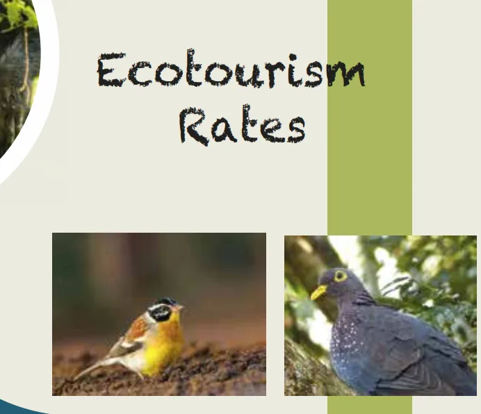 Ecotourism Rates