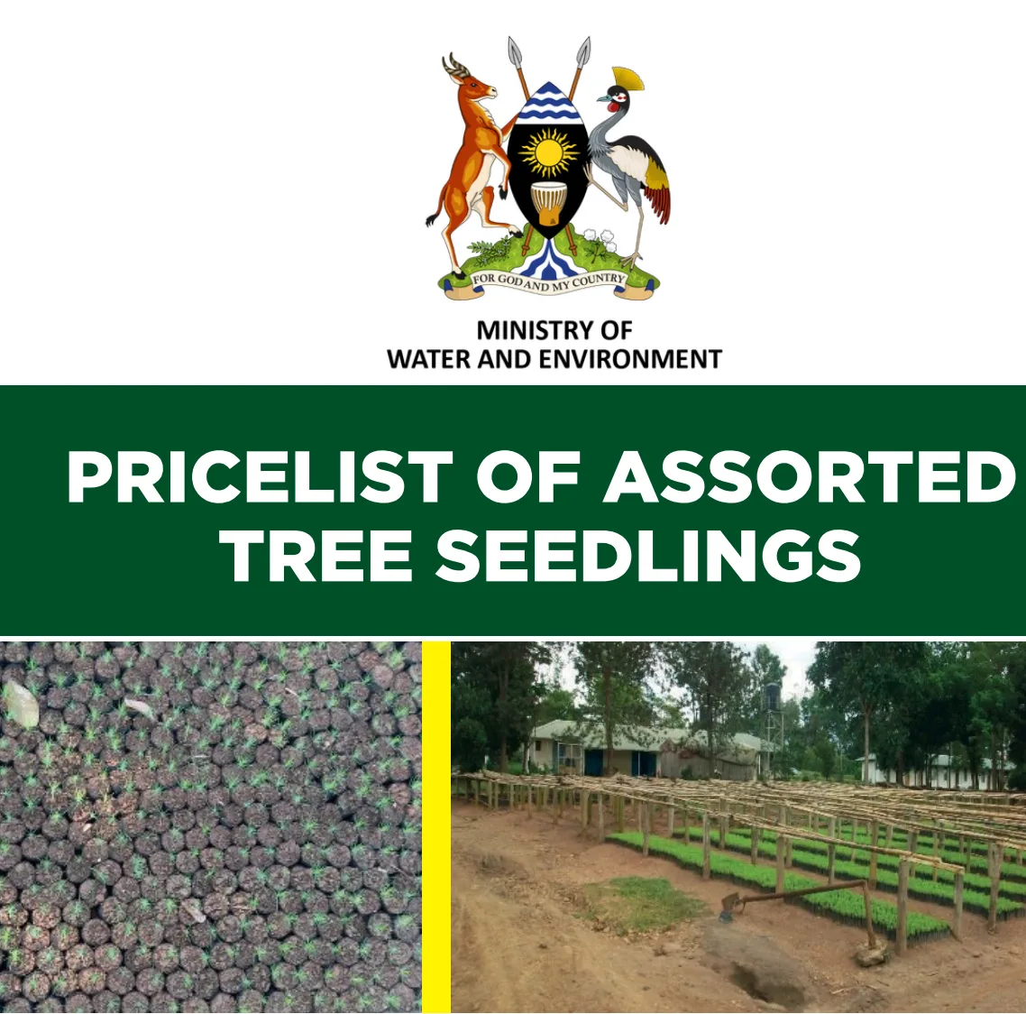 MWE Seed and Seedlings_Price List