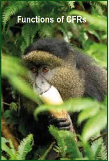 Functions of Central Forest Reserves in Uganda-2025