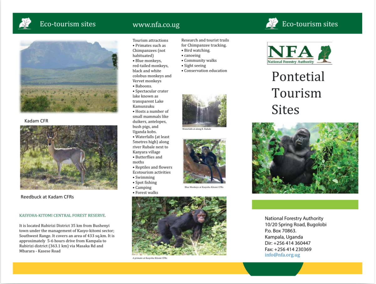 Echo Brochure