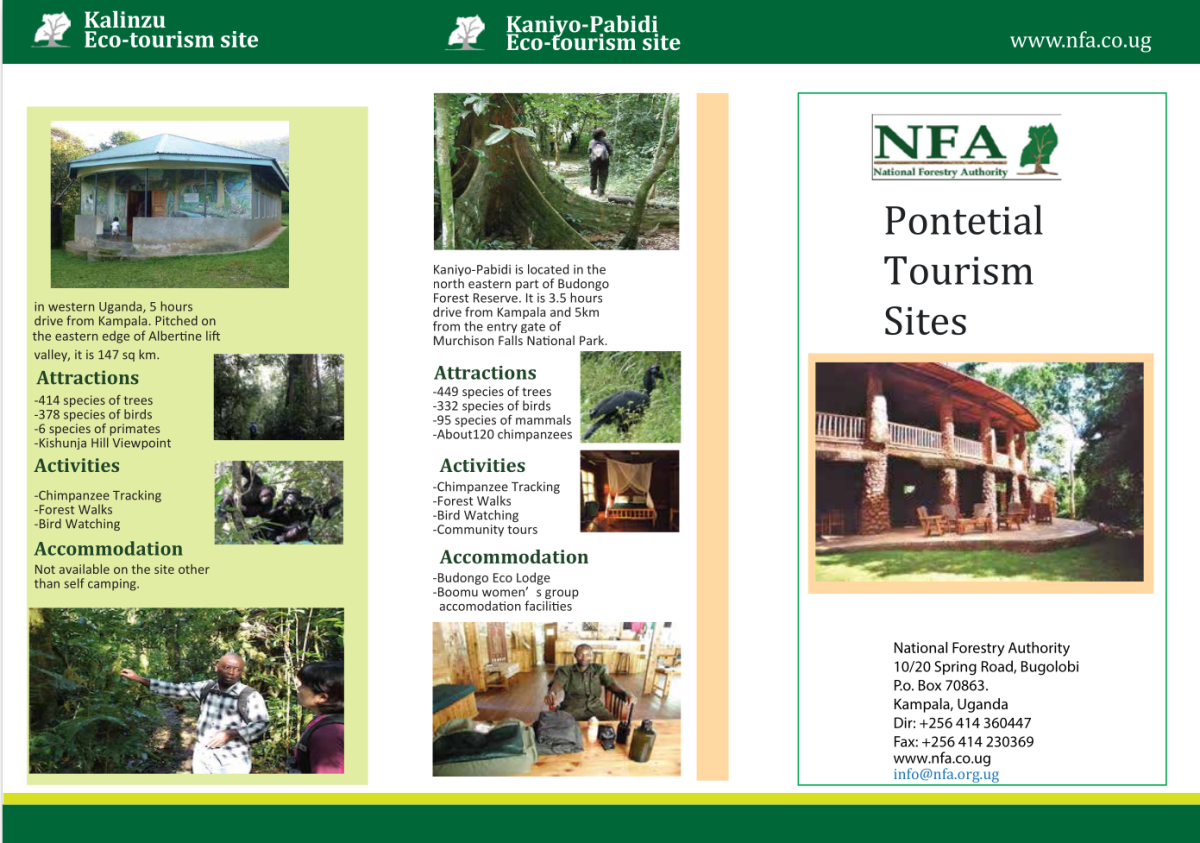 Echo Brochure