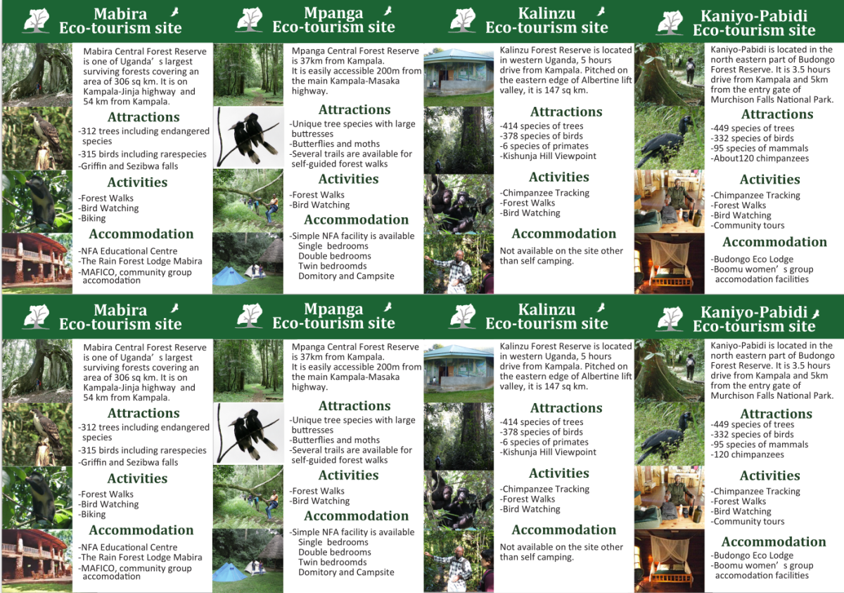 Echo Brochure 3