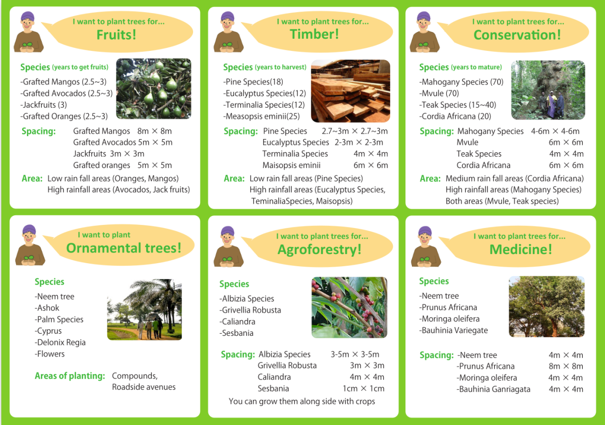 Tree spacing fruiting
