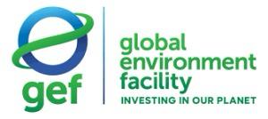Global Environment Facility