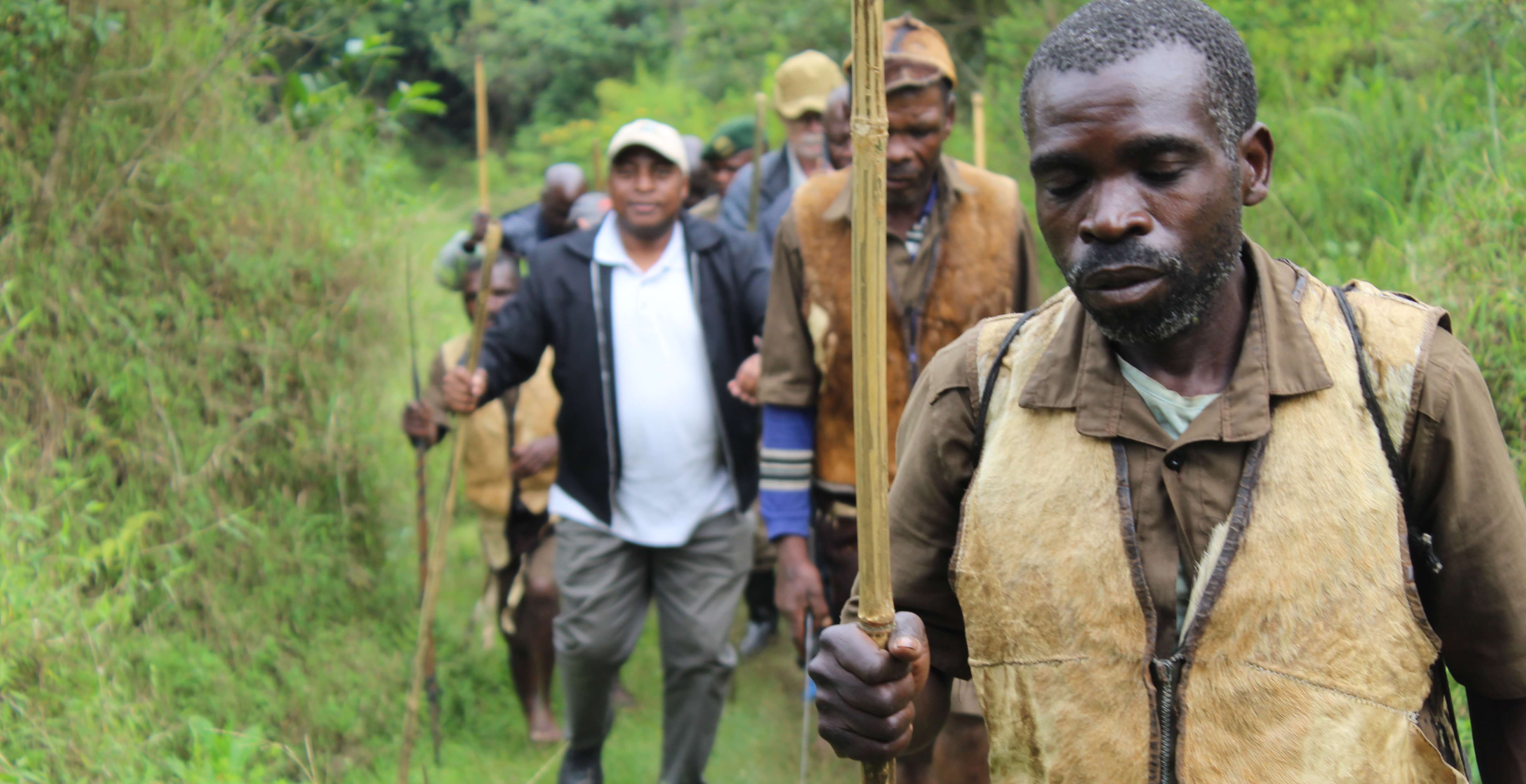 Forestry Management & Tree Planting