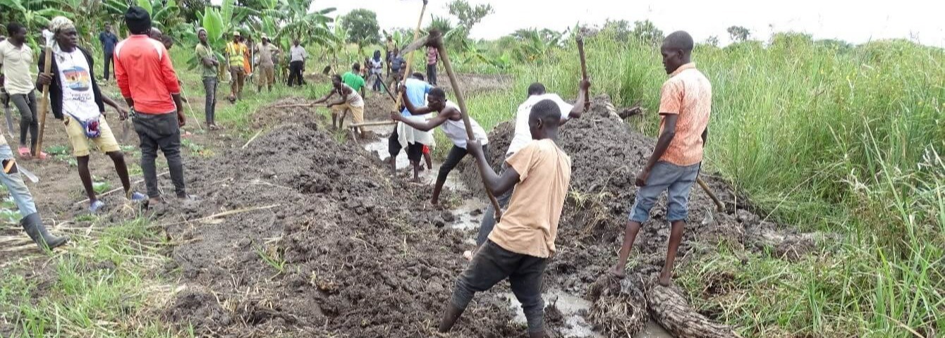 Wetland Conservation & Monitoring