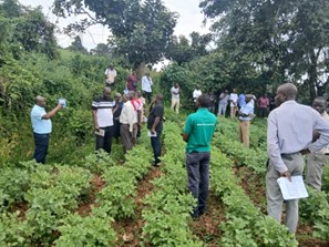 Victoria Water Management