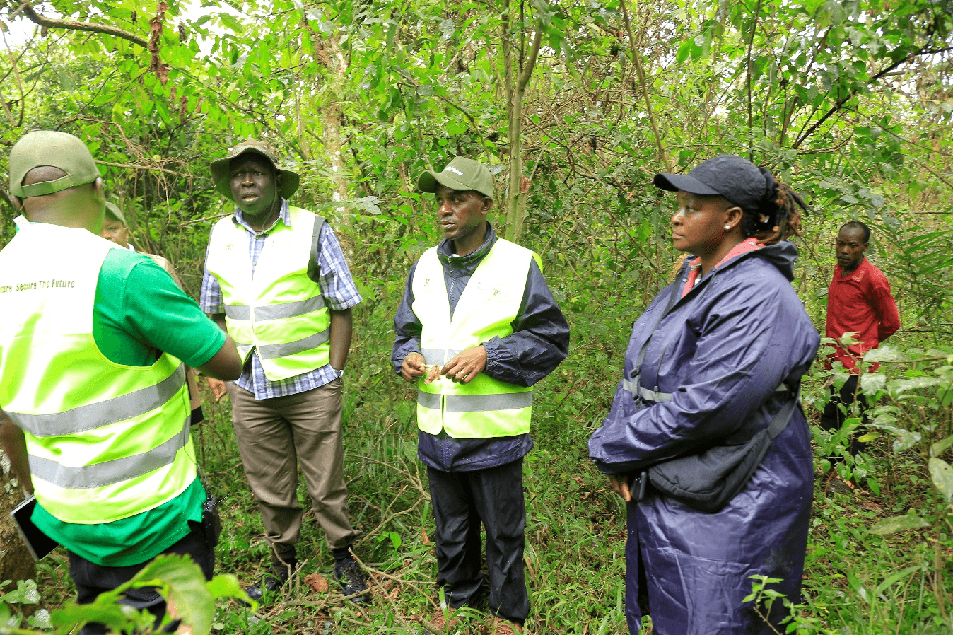 World Bank Task Team Leader for the IFPA-CD Project, Anita Takura, together with officials from the Ministry of Water and Environment implementing team, during the Technical Field Mission in Kagombe Central Forest Reserve assessing ongoing enrichment planting and forest restoration activities.