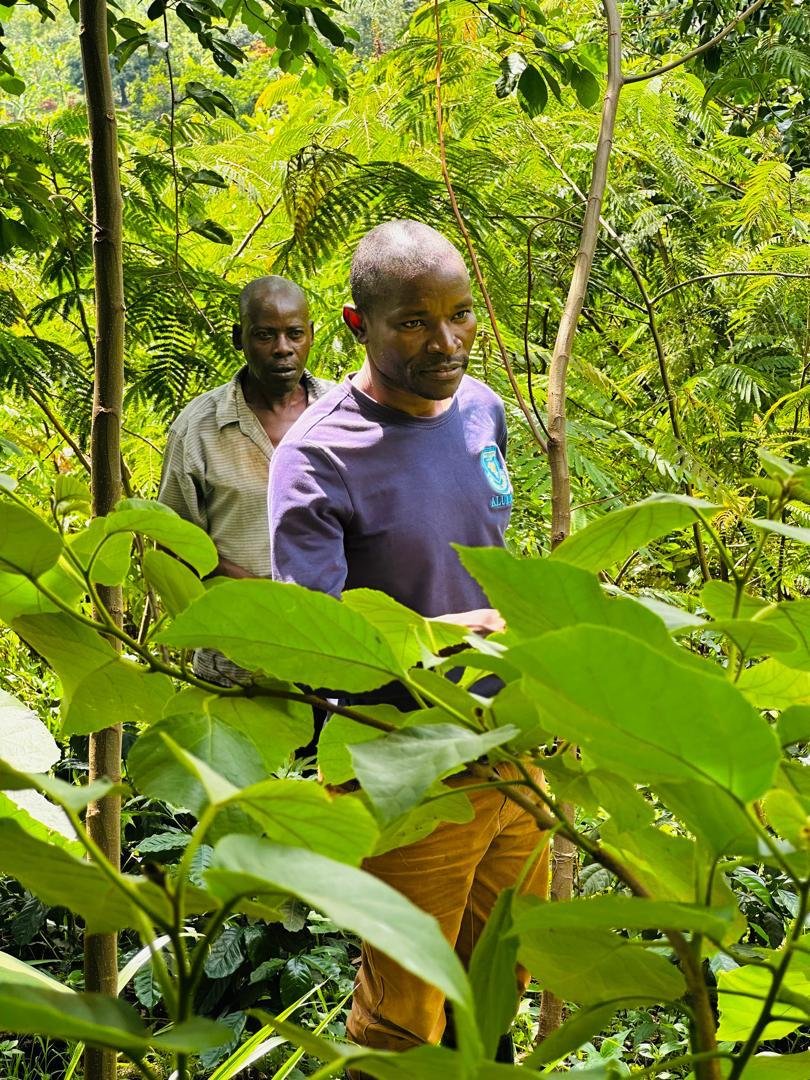 Ecosystem Based Adaptation “( EbA) in Wetland and Forest Ecosystem.