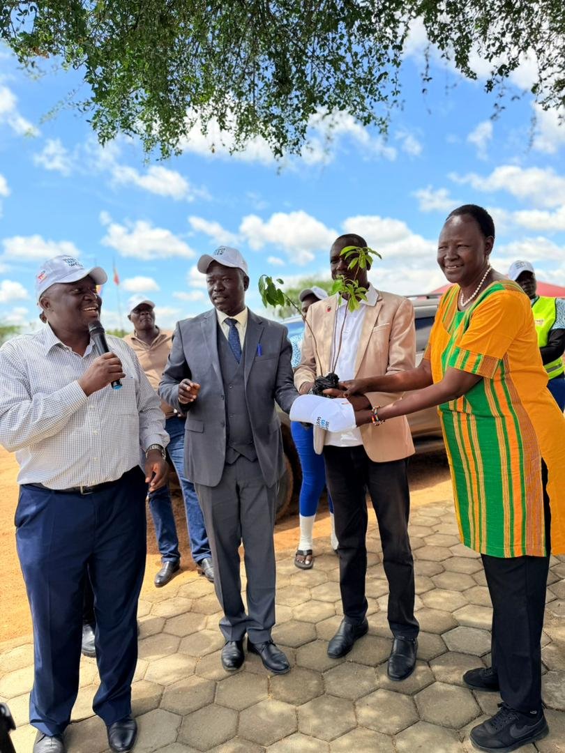 1000 assorted fruit seedling to be delivered and planted around the school premises