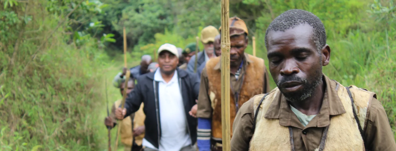 Forestry Management & Tree Planting