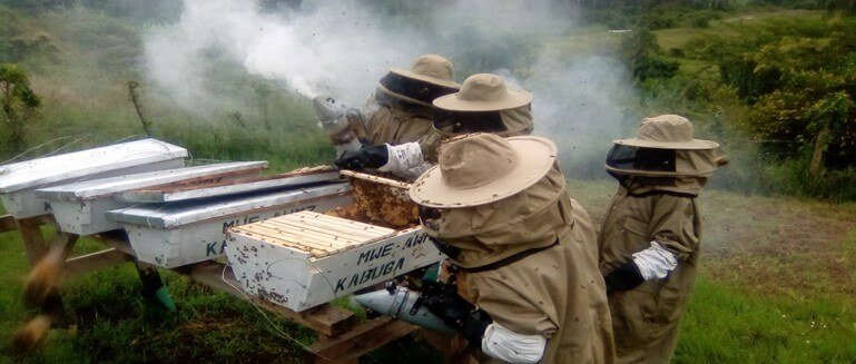 Communities in Kiiha catchment supported with an apiary as an alternative income-generating activity (funded by GOU