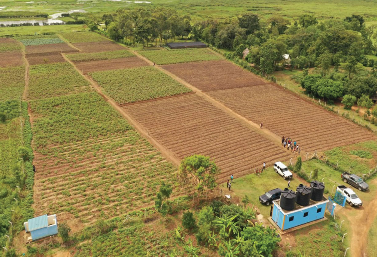 Limoto wetland regenerates after farmers settle in the upland