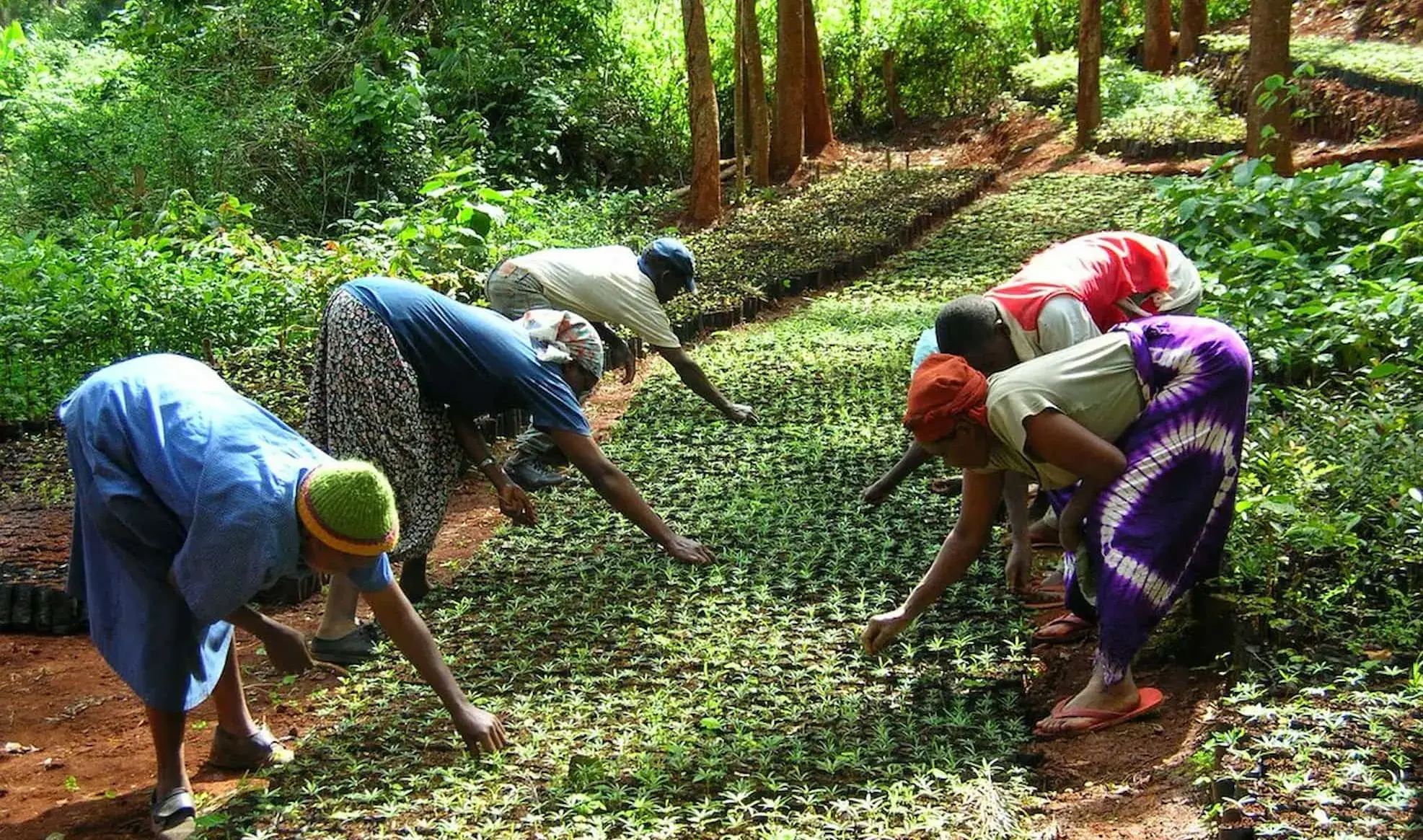 Empowering women in the face of climate change