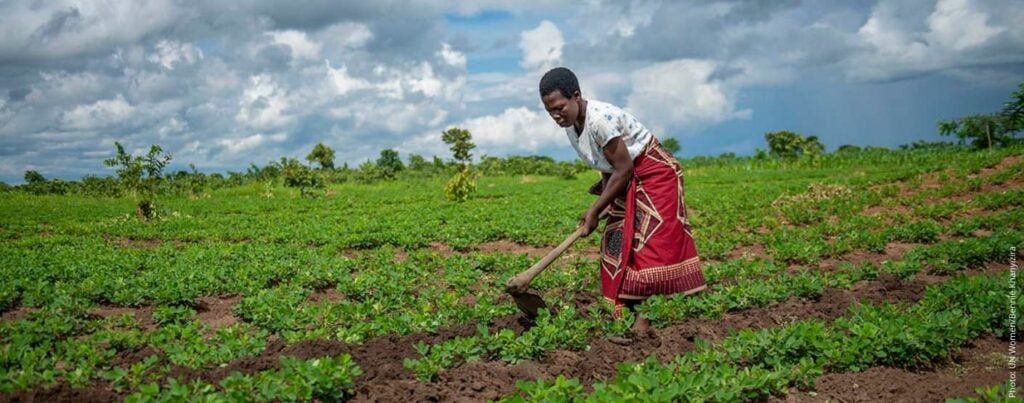 I am grateful to the government and wetland users – Kamida Mwanika
