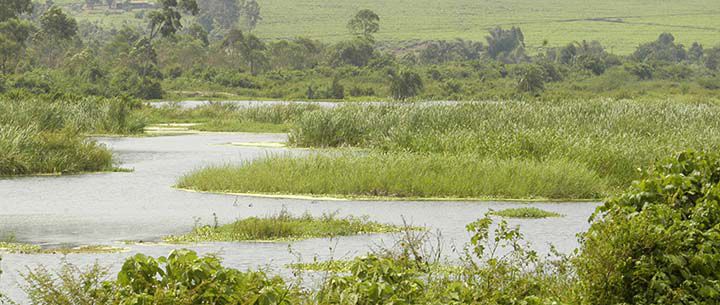 The recovery of Komirya wetland systems: a story of a successful community engagement