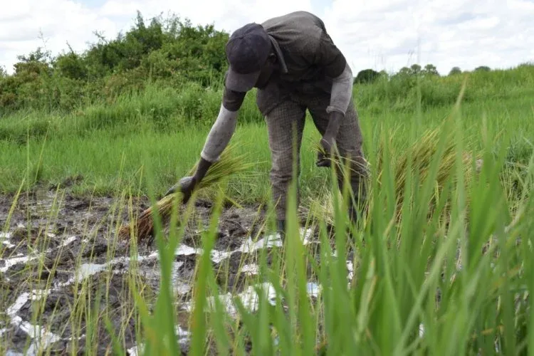 The pastor doesn’t regret vacating the Mpologoma Wetland
