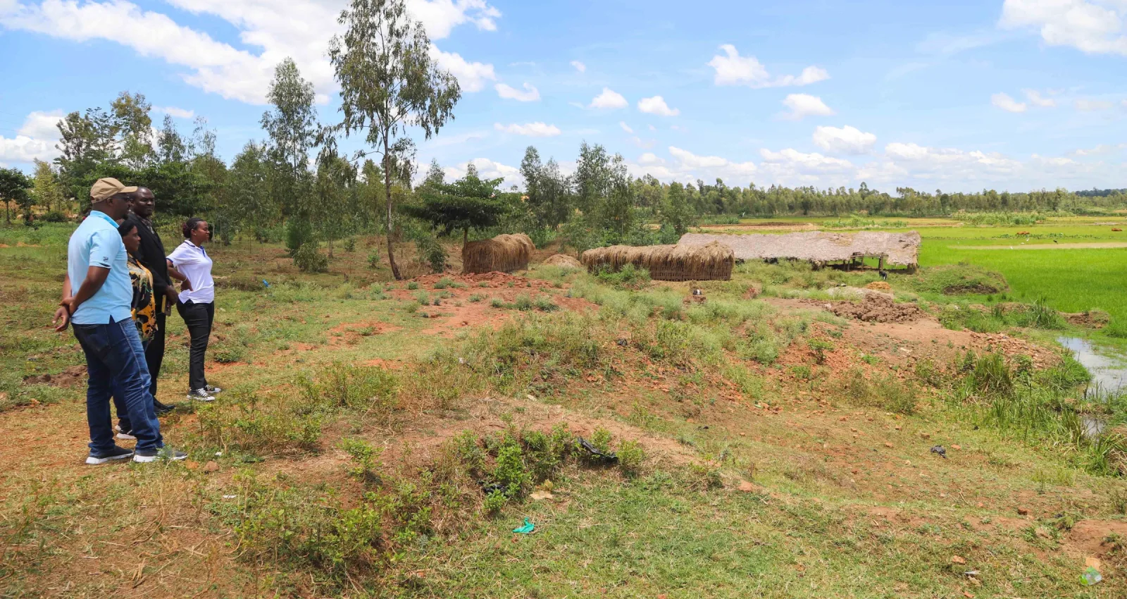Ministry of Water and Environment officials from the Forestry Management department at Bugiri Forest reserve