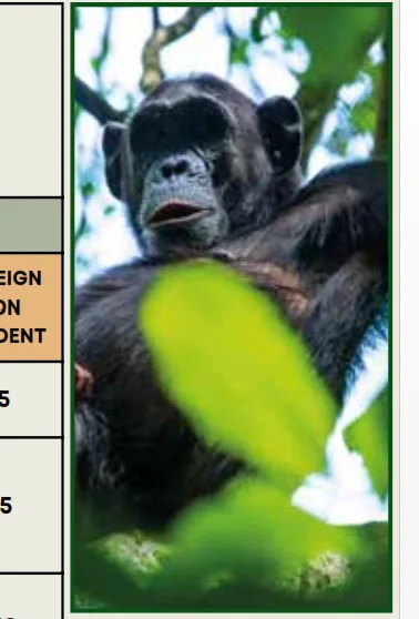 Ecotourism