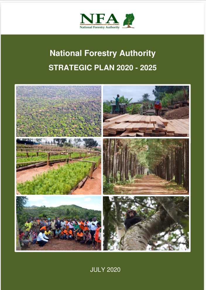 NFA STRATEGIC PLAN 2020-2025