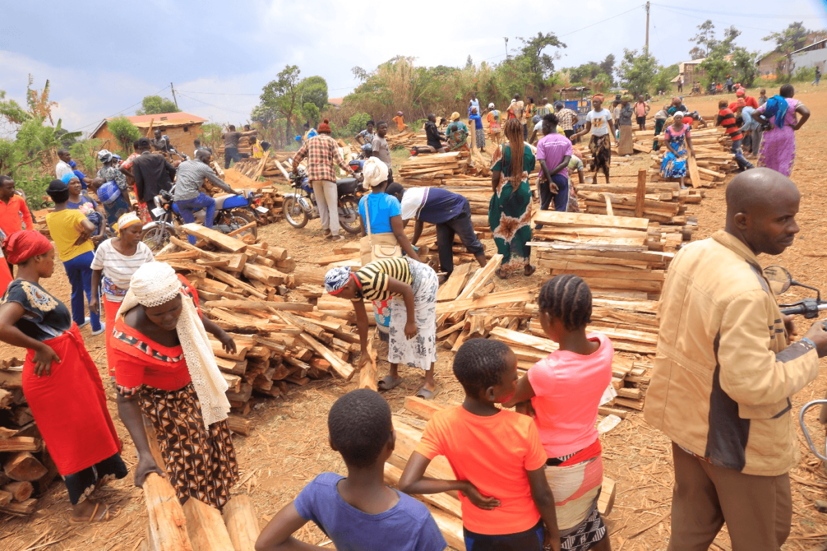 IFPA-CD Project Provides Lifeline Fuelwood Support to Vulnerable Refugees.