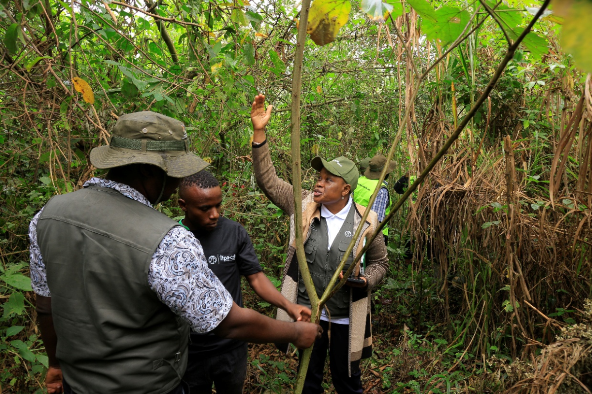 From Encroachment to Empowerment: IFPA-CD Project Revives Kagombe Central Forest Reserve