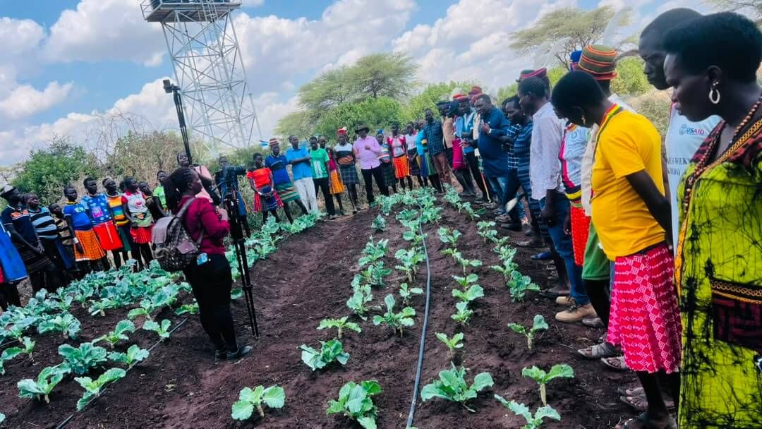 Farmers’ Field Day at Lokitumo Demo Site in Lotisan Sub-County, Moroto District.