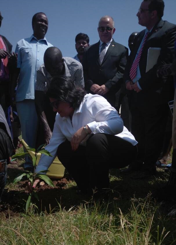 Egyptian Ambassador planting a Tree