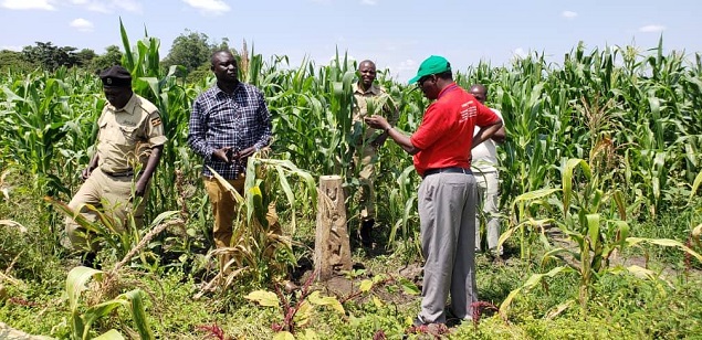  Inspecting a degraded section of  Mpologoma Swamp in Kibuku District. 