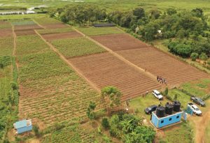 Limoto wetland regenerates after farmers settle in the upland