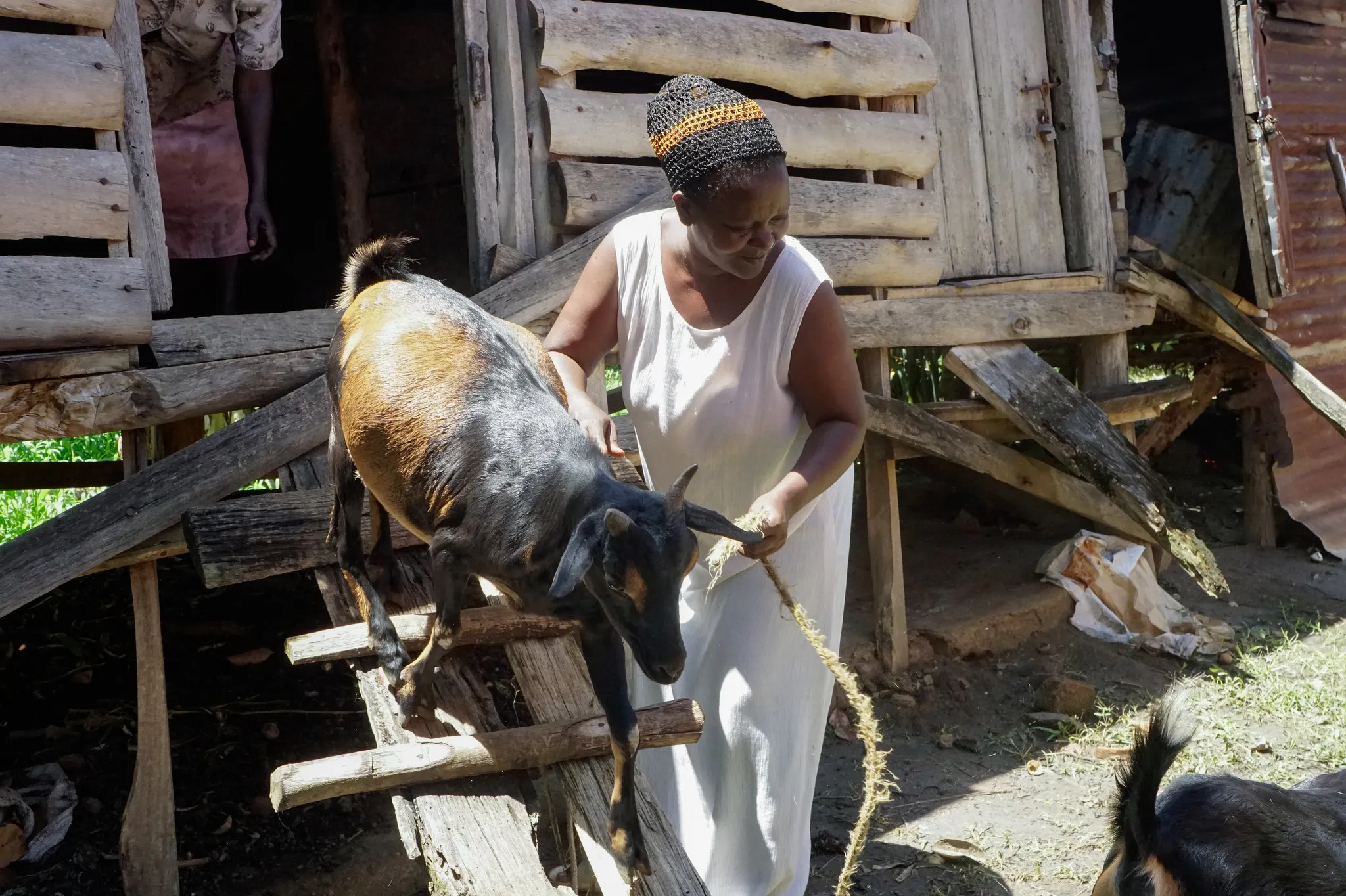 I am benefiting from fish, water and a good environment, says a former wetland user