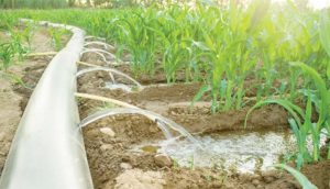  Northern Umbrella of Water and Sanitation (NUWS)