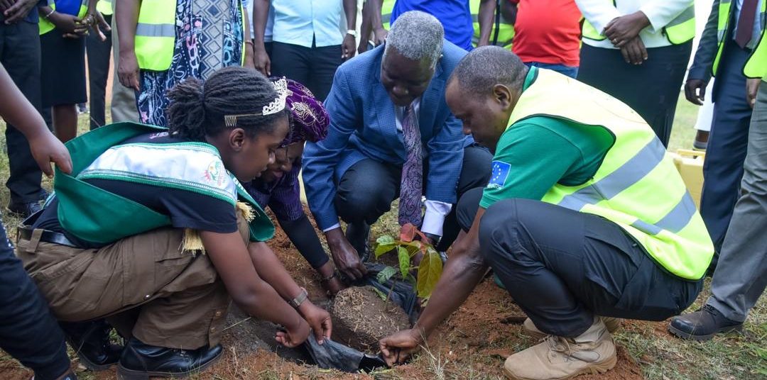 National Tree Planting Day( NTPD) in Jinja at Busoga College Mwiri