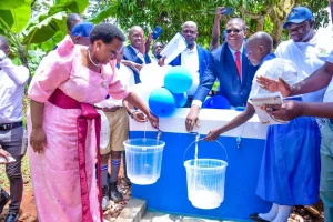 Support to Utility Management